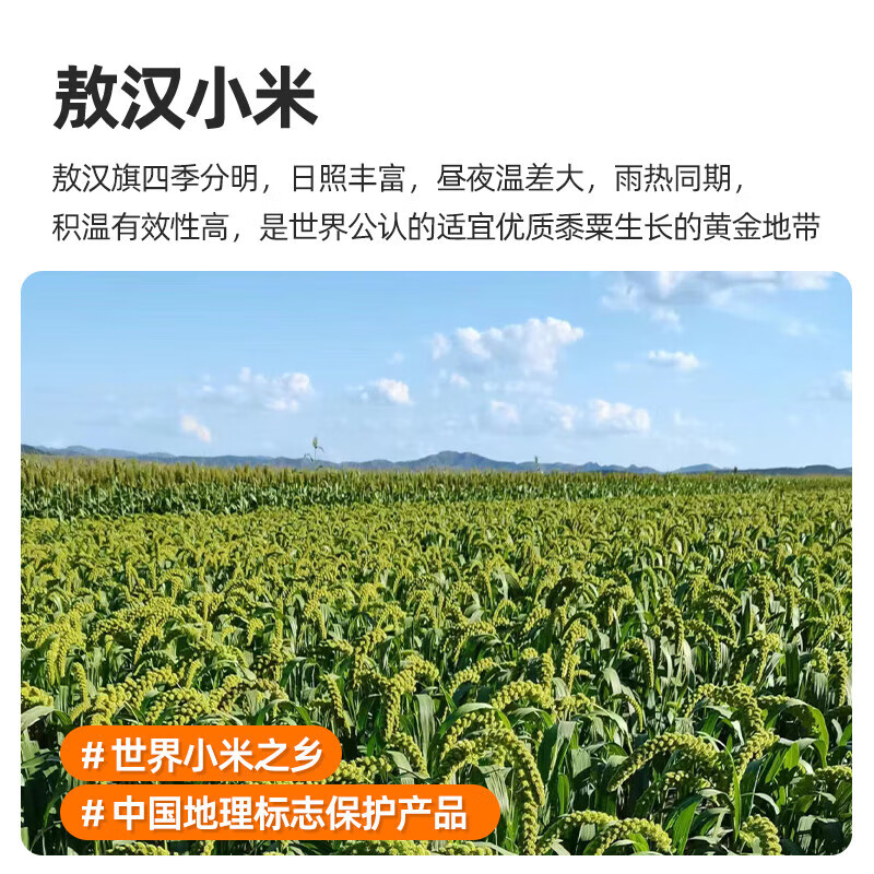 孟克河  敖汉有机黑小米500g真空块*3