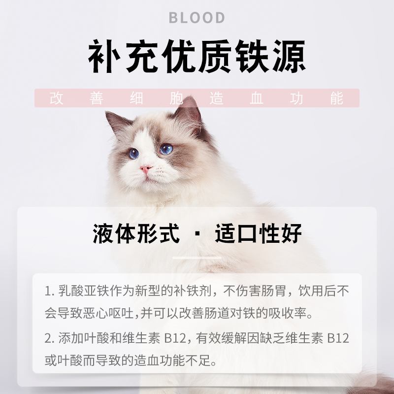 GFC  益血维营养液 100ml