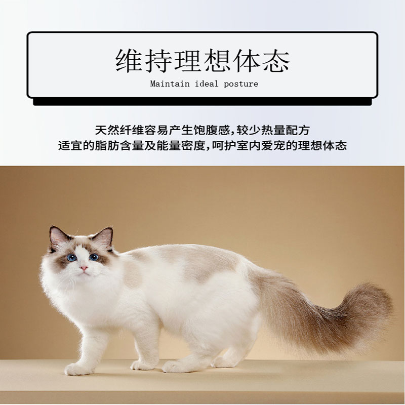 灵宠物语  宠物主粮全价全阶段鸡肉配方猫粮10kg