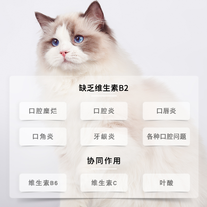 GFC  口益清营养液 100ml