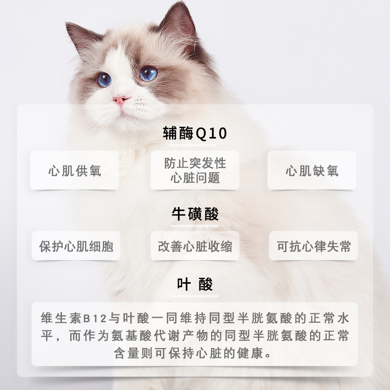 GFC  芯保营养液 100ml