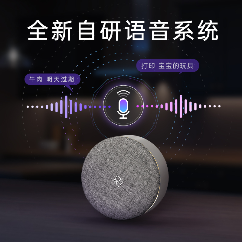 汉印 家用语音款标签打印机 H21（祼机+2卷标签纸）