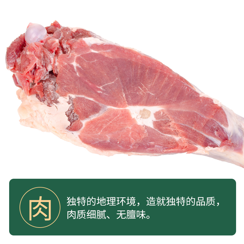 喜礼 正宗盐池滩羊 生鲜羊肉真空包装现宰羊 喜礼盐池滩羊 单品羊后腿 （含骨略肥）3斤