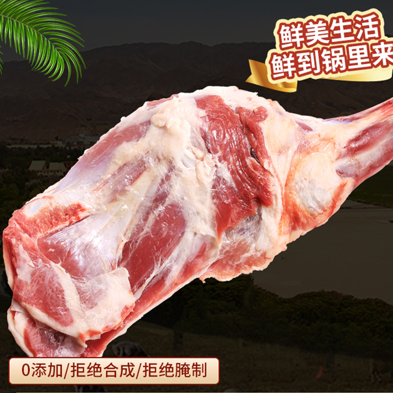 喜礼 正宗盐池滩羊 生鲜羊肉真空包装现宰羊 喜礼盐池滩羊 单品羊前腿（含骨）3斤
