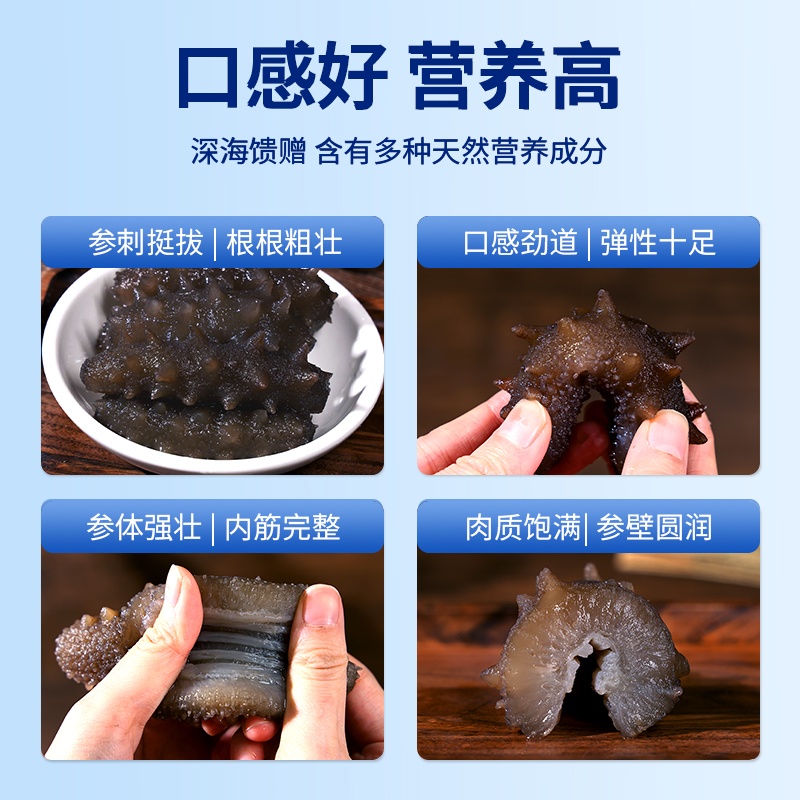 星龙港 无冰即食海参 海之盛誉1500g（15-21头）