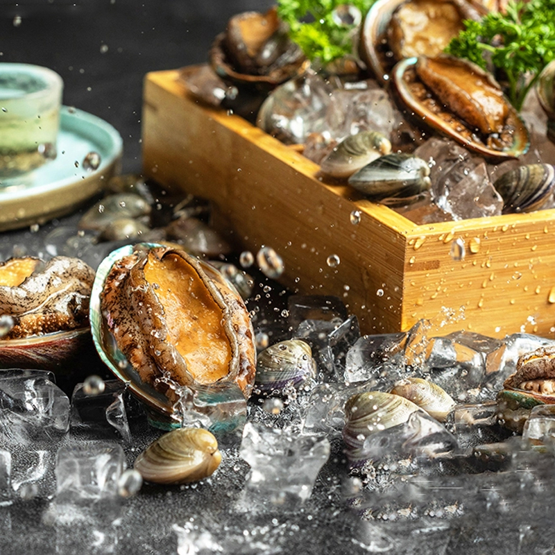 星龙港 佛跳墙套装 240g*6（红盒蓝碗）