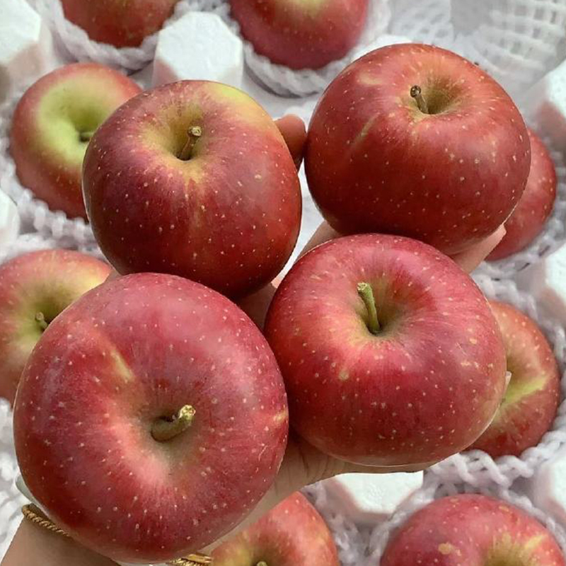 云南嘟嘟 云南昭通冰糖心丑苹果（2001）果径70mm+ （5斤装彩箱）