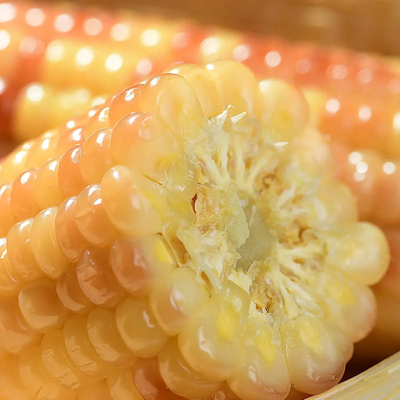 云南嘟嘟 云南西双版纳 花糯玉米 单果130-200g（3斤 普装）