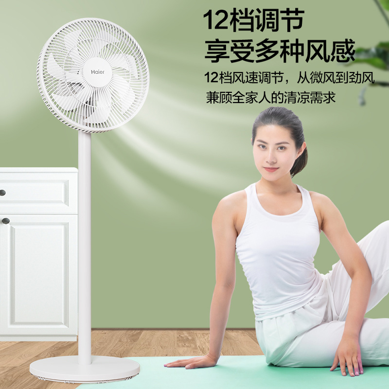海尔（Haier） 电风扇落地扇家用音轻风扇五叶摇头可升降电扇台立式大风量台扇 直流遥控款 HFS-Y3556AP