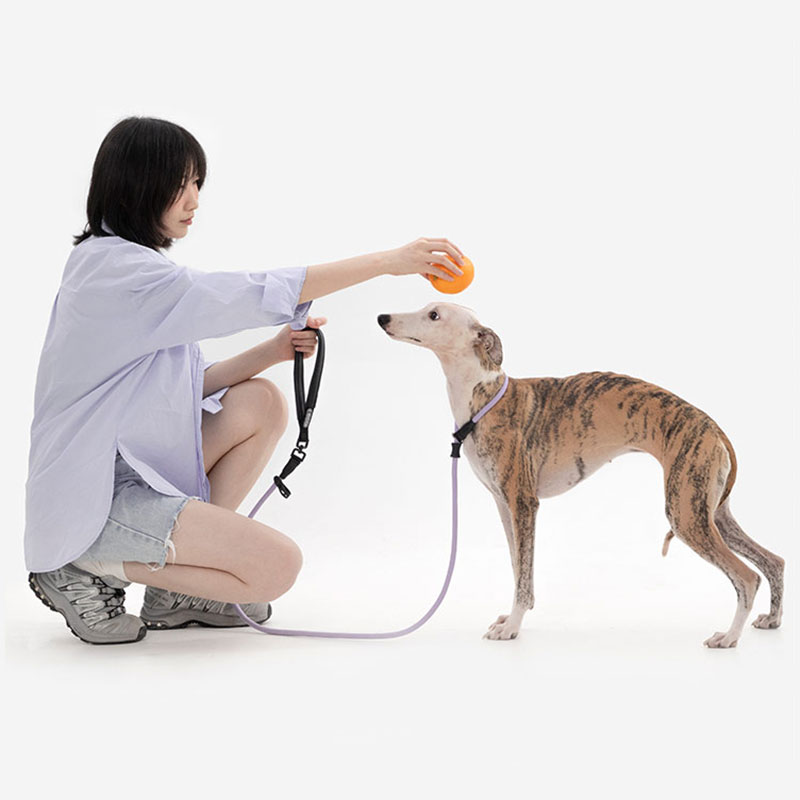 HiDREAM 啵啵系列 皮革手柄一体式训犬粗P绳 HD024008-04F 桔梗紫